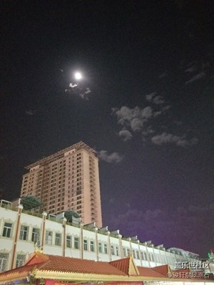 夜色下，緬甸翡翠開包，紫羅蘭翡翠手鐲料