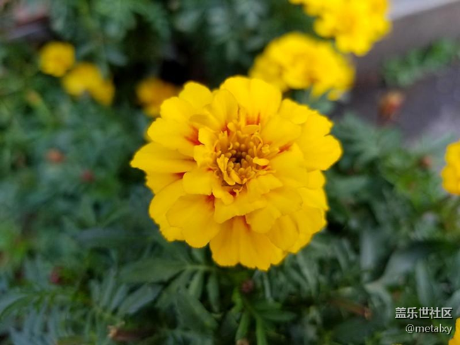 【Note8百人體驗(yàn)團(tuán)】[圖文類]Note8在手，感覺自己帥到開掛