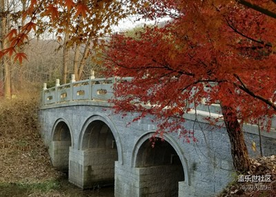 故鄉(xiāng)的秋