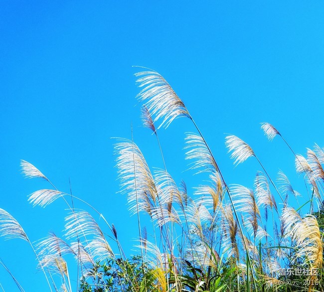 Note8百人體驗團】[圖文類]Note8 拍照初體驗