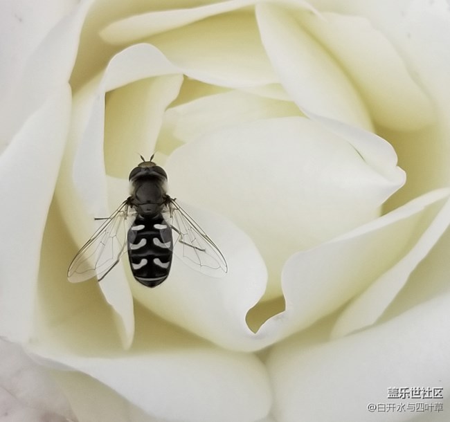 【Note8百人體驗(yàn)團(tuán)】[圖文類]Note8輕體驗(yàn)