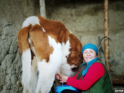 Note8拍 （二）哈薩克族婦女的日常