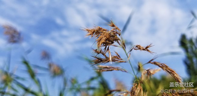 【Note8百人體驗(yàn)團(tuán)】[圖文類]Note8輕體驗(yàn)