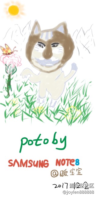 感覺夜拍不如之前的7姨，噪點太多