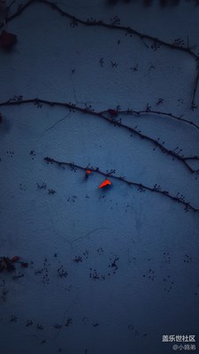 分享，美一刻！