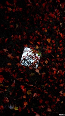 一鏡，一世界！