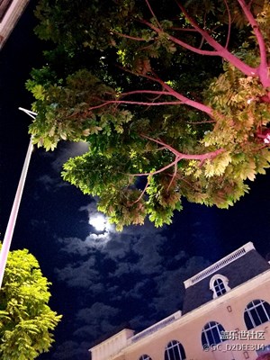 夜空