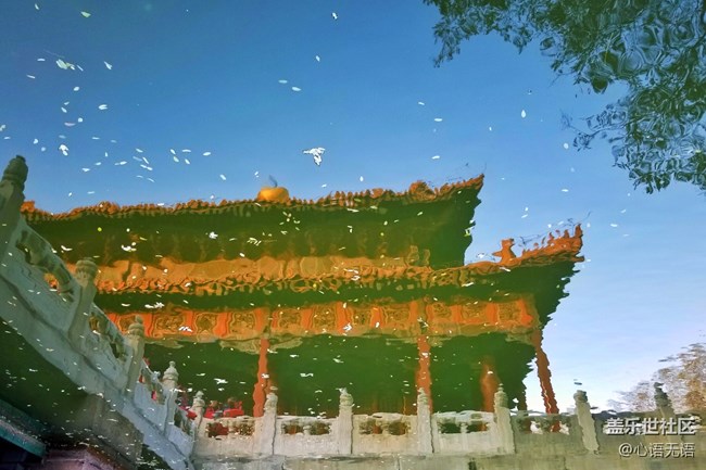 【Note8百人體驗團】[圖文類]圖說三星Note8拍照功能