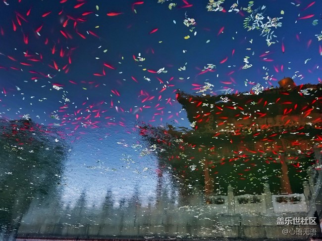 【Note8百人體驗團】[圖文類]圖說三星Note8拍照功能