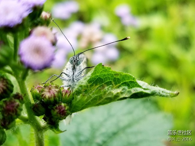Note8百人體驗團】[圖文類]Note8 拍照初體驗