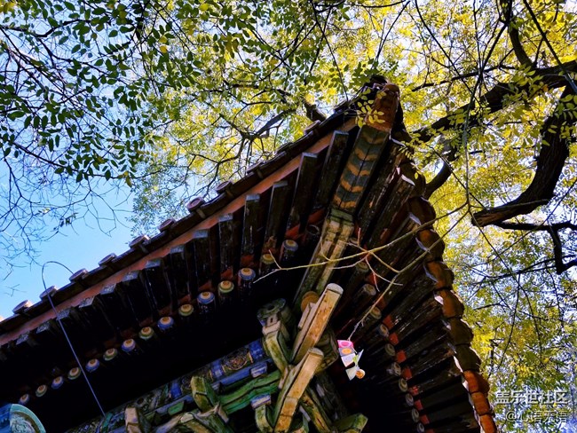 【Note8百人體驗團】[圖文類]圖說三星Note8拍照功能