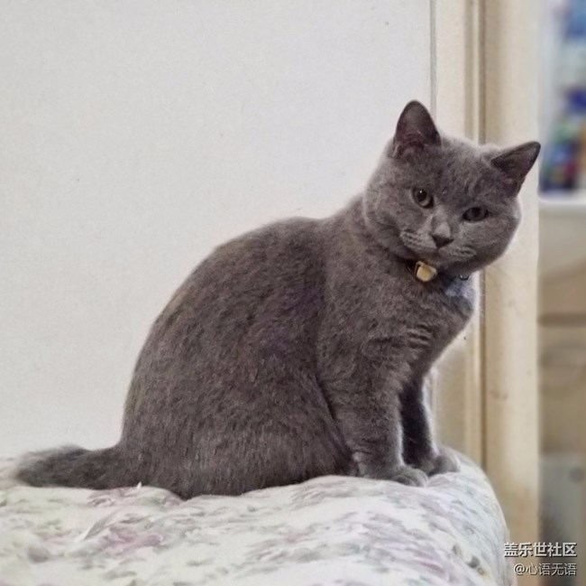 【Note8百人體驗團】[圖文類]圖說三星Note8拍照功能