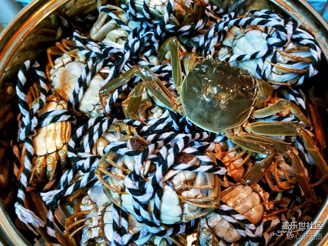 【Note8百人體驗團】[圖文類]圖說三星Note8拍照功能