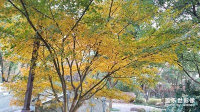 我家鄉(xiāng)的秋 新昌縣大佛寺