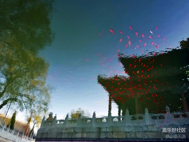 【Note8百人體驗團】[圖文類]圖說三星Note8拍照功能