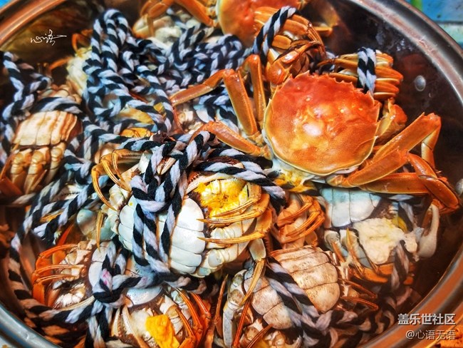 【Note8百人體驗團】[圖文類]圖說三星Note8拍照功能