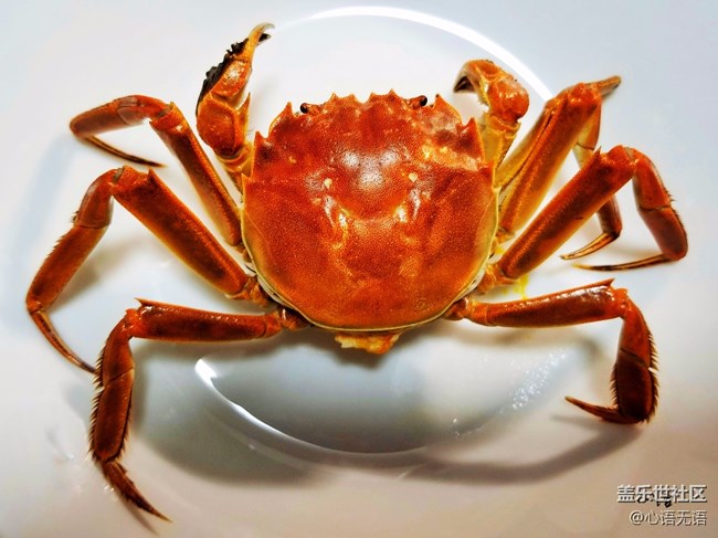 【Note8百人體驗團】[圖文類]圖說三星Note8拍照功能