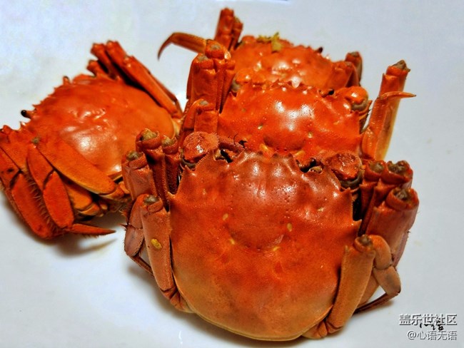 【Note8百人體驗團】[圖文類]圖說三星Note8拍照功能