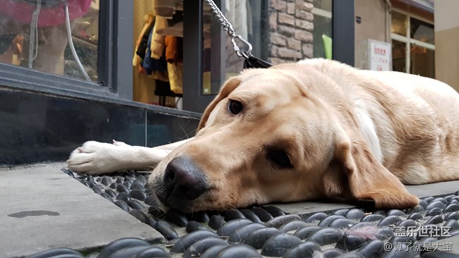 【Note8百人體驗(yàn)團(tuán)】[視頻類]Bixby對(duì)決Siri 天貓精靈客串