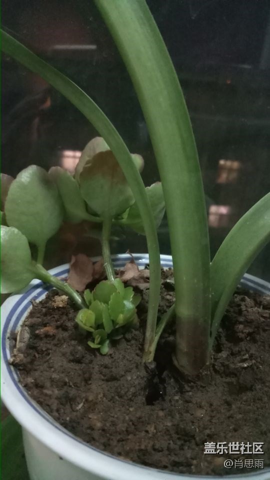 【C8體驗(yàn)團(tuán)】【圖文】輕快的C8,完美的嘻哈體驗(yàn)！