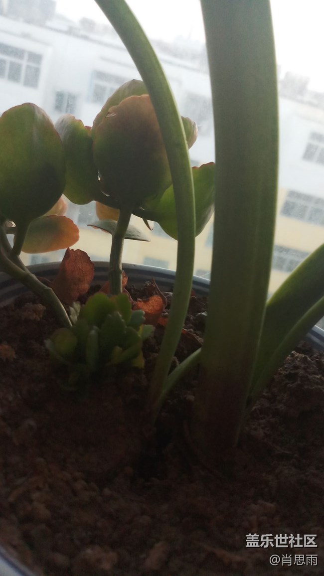 【C8體驗(yàn)團(tuán)】【圖文】輕快的C8,完美的嘻哈體驗(yàn)！