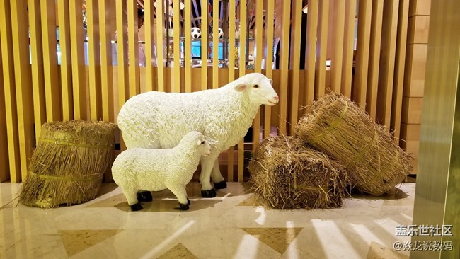 【Note8百人體驗團】[圖文類]很強大但仍然成長r 三星Note8！