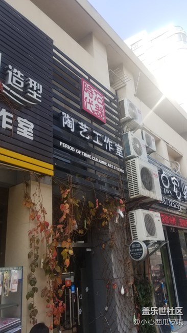 社區(qū)活動之他們玩泥我擼貓活動