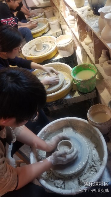 社區(qū)活動之他們玩泥我擼貓活動