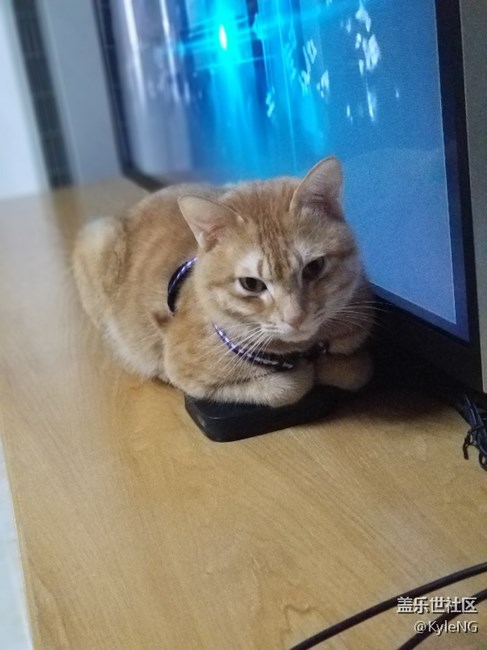 關(guān)于note8拍照的疑問