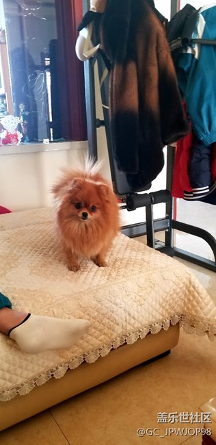 自從用上bixby發(fā)現(xiàn)普通話的水平在逐漸提高的有沒有