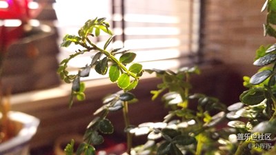 不負(fù)好陽光