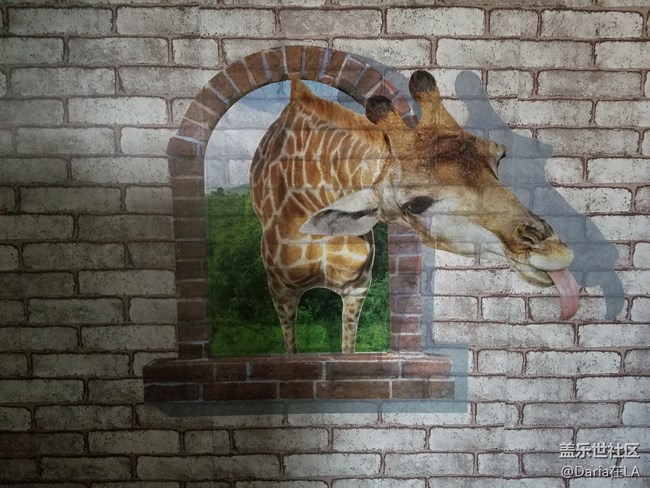 【C8體驗團】【圖文】中國有C哈，時尚與科技的碰撞