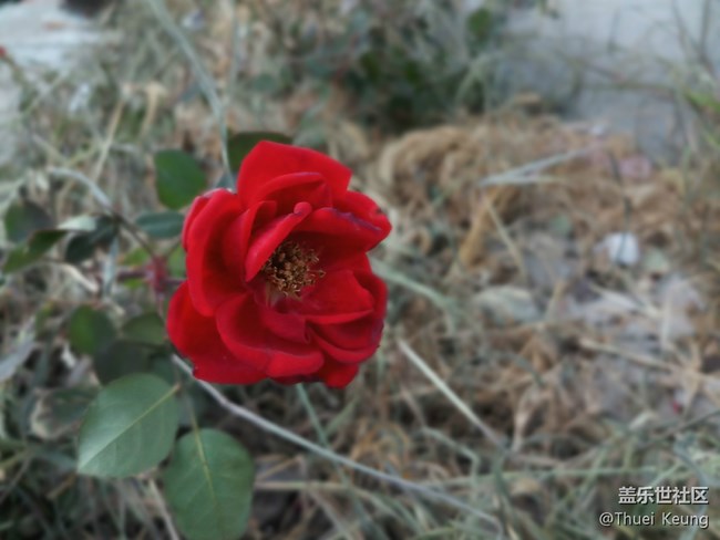 【C8體驗(yàn)團(tuán)】潮流嘻哈 我有Galaxy C8