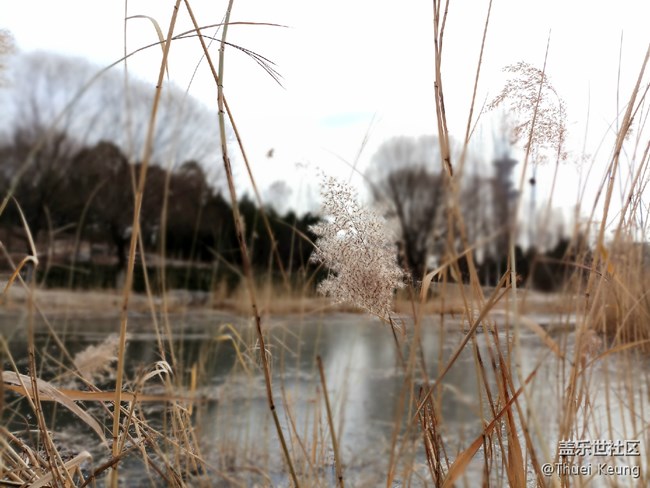 【C8體驗(yàn)團(tuán)】潮流嘻哈 我有Galaxy C8
