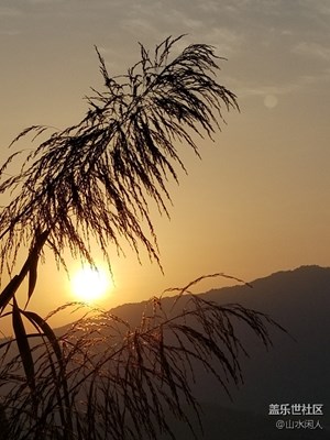 蘆花思夕陽(yáng)