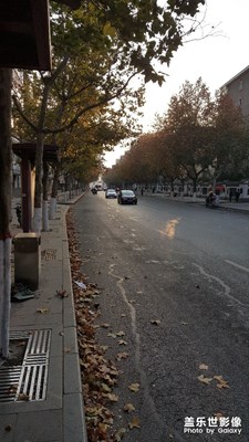 機子鏡頭開機抖動，去售后換的 鏡頭，隨手拍的 ，真不錯！