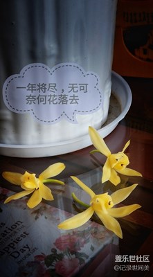 無可奈何花落去