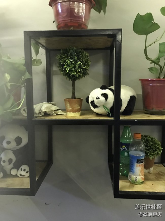 這個(gè)周末過個(gè)圣誕吧