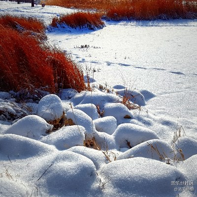 蓋樂世周賽第43期—— 不一樣的冬  不一樣的南北