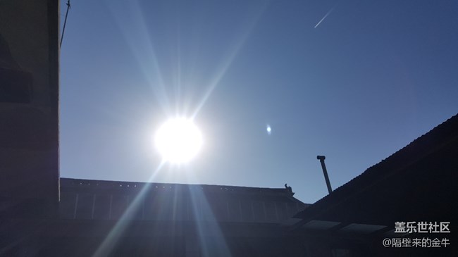 牛5拍太陽