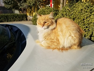 上班無聊，隨手拍的。