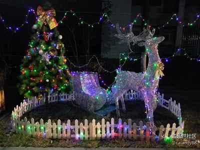 【不一樣的冬 不一樣的南北】+上海寒風中的圣誕燈展