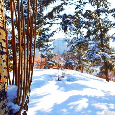 【不一樣的冬 不一樣的南北】+飚雪百丈南北贊！