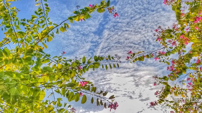 午后，打開三星音樂，休息一下