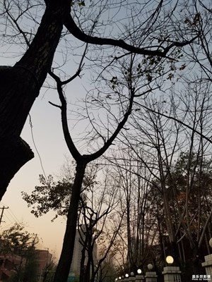 【不一樣的冬  不一樣的南北】+下班隨拍