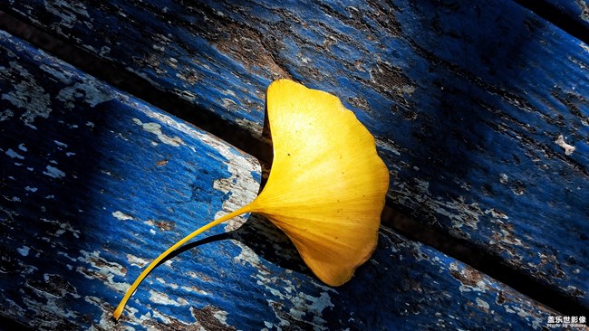 每周精帖匯【第84期： 跨年倒計時，2018我們來了！】