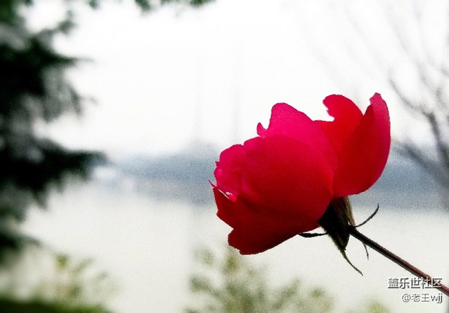 攝影小白，分享一下。