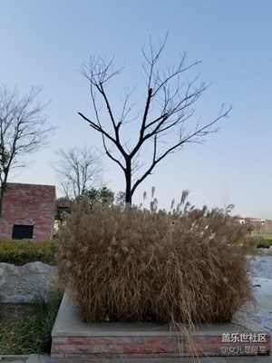 周末公司加班隨手拍