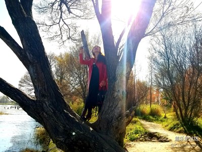 透過樹隙的陽光，原來是這般美好。