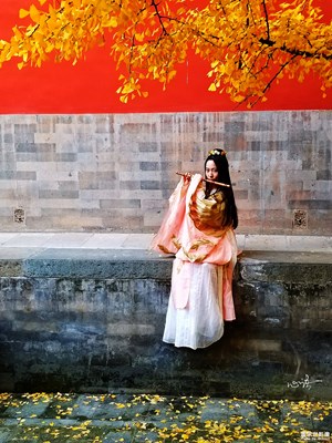 【三星蓋樂世S8+】清夢初回秋夜闌